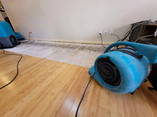 Professional Flood Damage Cleanup technician working in Webb City, MO